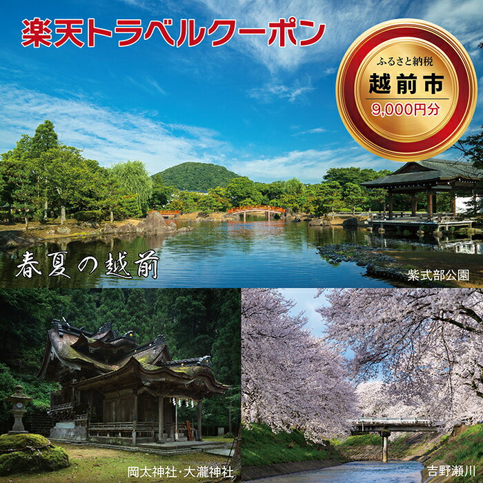 【ふるさと納税】福井県越前市の対象施設で使える楽天トラベルクーポン 寄付額30,000円(18209)その2