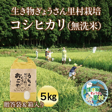 生き物ぎょうさん里村栽培 コシヒカリ(無洗米) 5kg ご贈答袋&箱入り 送料無料 福井県 越前市 米 コシヒカリ 減農薬栽培 新生活 2023年 新米(18209)