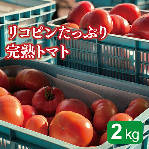 リコピンたっぷり完熟トマト 2kg 送料無料 福井県 越前市 とまと 野菜（18209）