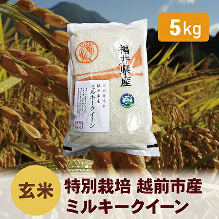 [令和5年度・新米]特別栽培 越前市産ミルキークイーン 5kg・玄米 / 送料無料 福井県 越前市 米 ミルキークイーン 減農薬 新生活(18209)