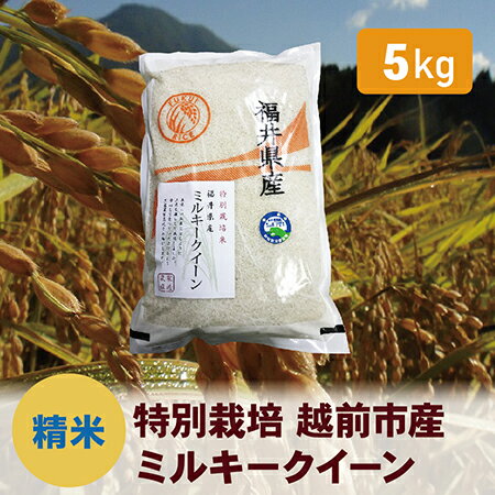 [令和5年度・新米]特別栽培 越前市産ミルキークイーン 5kg・精米 / 送料無料 福井県 越前市 米 ミルキークイーン 減農薬 新生活(18209)