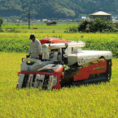 【ふるさと納税】先行予約価格＼受付開始／【令和8年度・新米】特別栽培 越前市産ミルキークイーン/ 5kg・10kg /精米・玄米/ 送料無料 福井県 越前市 米 ミルキークイーン 減農薬 無農薬 特別栽培米 武生 タケフ 新生活(18209) f182095-echizen-10000358 福井県越前市 サンプル画像3