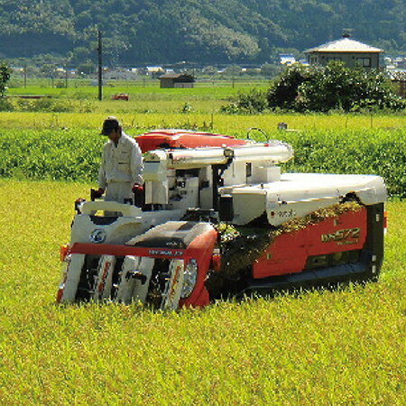 【ふるさと納税】【令和5年度・新米】特別栽培 越前市産コシヒカリ 5kg・精米 / 送料無料 福井県 越前市 米 コシヒカリ 減農薬 新生活(18209) 3