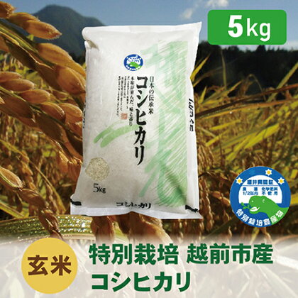 【令和5年度・新米】特別栽培 越前市産コシヒカリ 5kg・玄米 / 送料無料 福井県 越前市 米 コシヒカリ 減農薬 新生活(18209)