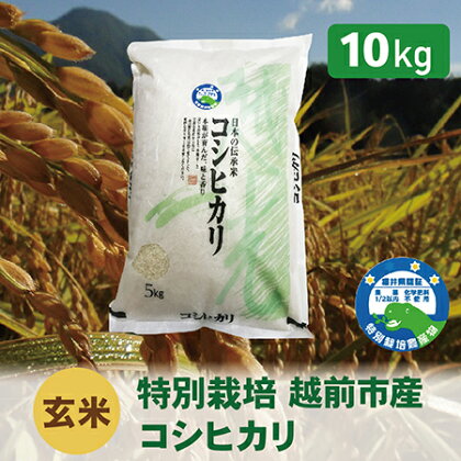 【令和5年度・新米】特別栽培 越前市産コシヒカリ 10kg・玄米 / 送料無料 福井県 越前市 米 コシヒカリ 減農薬 新生活(18209)