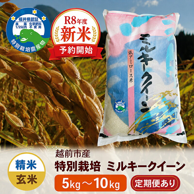 先行予約価格＼受付開始/[令和8年度・新米]特別栽培 越前市産ミルキークイーン/ 5kg・10kg /精米・玄米/ 送料無料 福井県 越前市 米 ミルキークイーン 減農薬 無農薬 特別栽培米 武生 タケフ 新生活(18209)