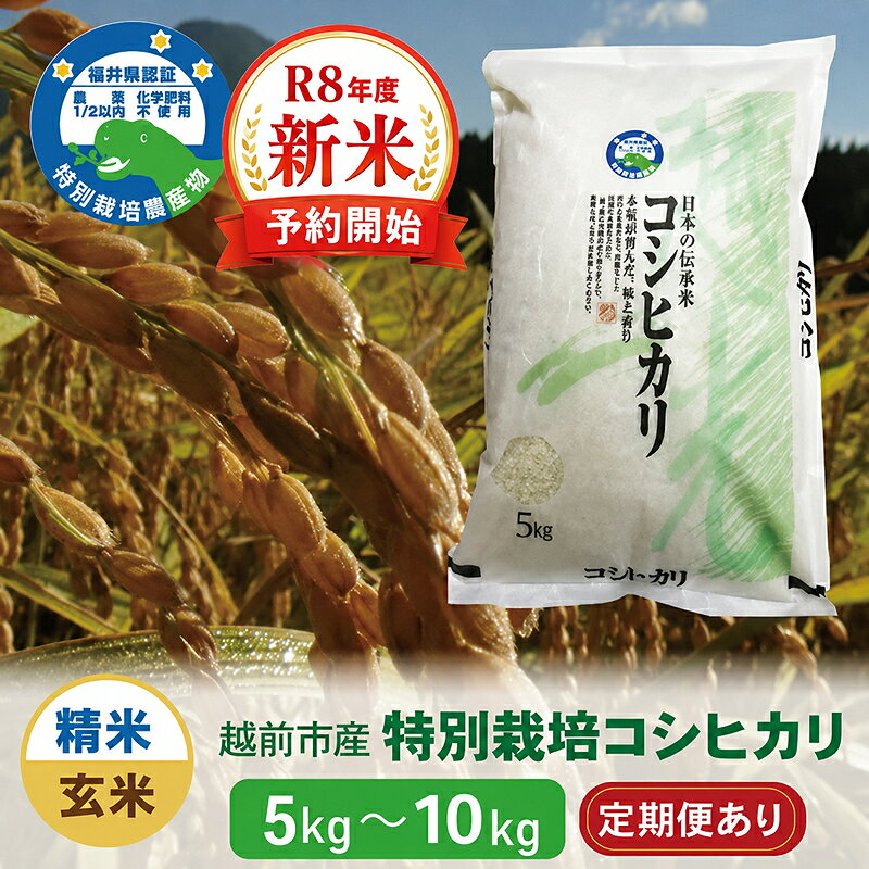 【ふるさと納税】先行予約開始！【令和8年度・新米】特別栽培 越前市産コシヒカリ 5kg〜10kg 合計5kg〜10kg 精米 玄米 定期便/ 送料無料 福井県 越前市 米 コシヒカリ 減農薬 新生活 (18209)