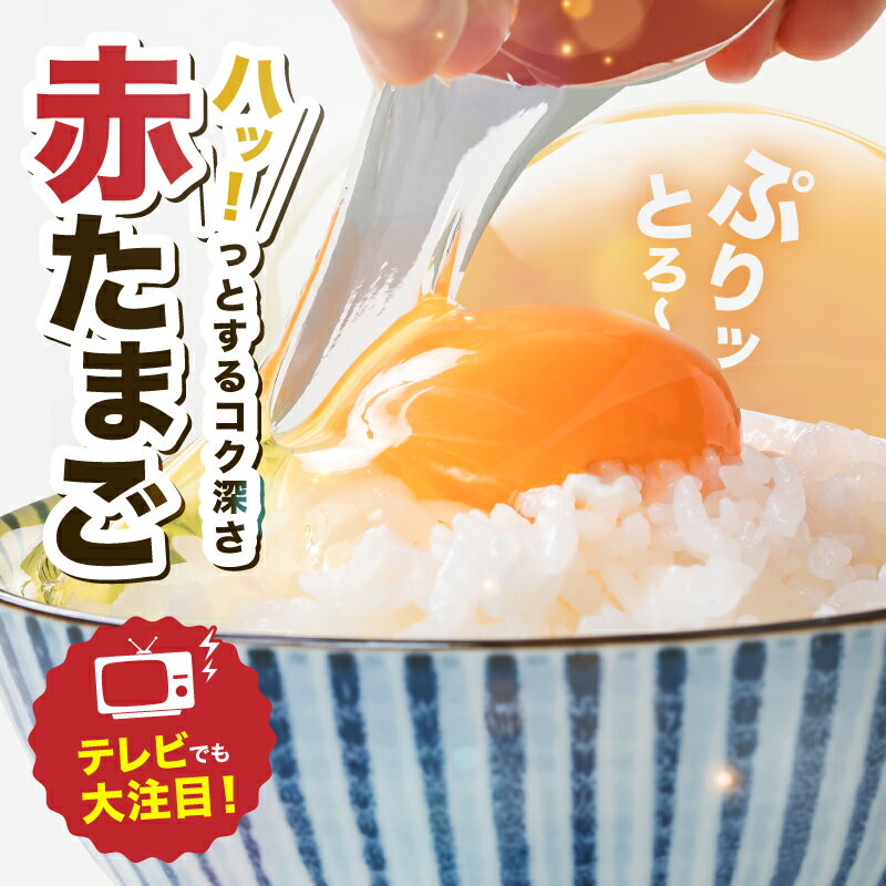 【ふるさと納税】ミネラルを豊富な越前赤玉子30個・40個・50個 定期便選択 賞味期限約20日（7月、8月 賞味期限約14日） ＊北海道・沖縄県 配送可能 / 送料無料 福井県 越前市 卵 たまご タマゴ ヨード (18209)
