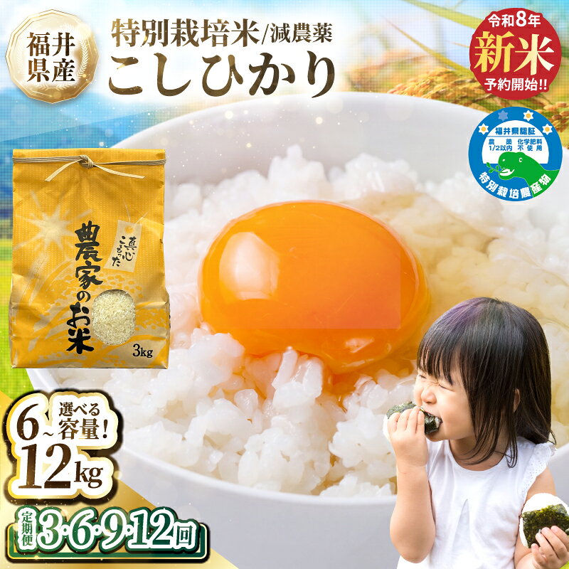 [ 新米 先行予約]令和8年産 新米 福井県産 減農薬米 こしひかり 6〜12kg 定期便3〜12回(玄米・白米選択可)/ 送料無料 福井県 越前市 米 コシヒカリ 減農薬 2026年度産(18209)