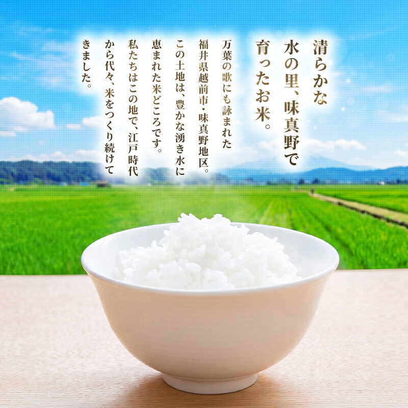 【ふるさと納税】【 新米 先行予約】令和8年産 新米 福井県産 減農薬米 こしひかり 6〜12kg 定期便3〜12回（玄米・白米選択可）/ 送料無料 福井県 越前市 米 コシヒカリ 減農薬 2026年度産（18209） f182095-echizen-10000851 福井県越前市 サンプル画像2