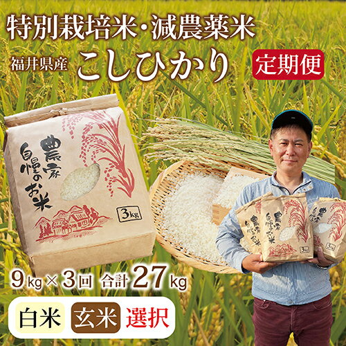 【ふるさと納税】【定期便3回・先行予約】令和4年 新米 福井県産 減農薬米 こしひかり 9kg（玄米・白米選択可）/ 送料無料 福井県 越前市 米 コシヒカリ 無農薬 2022年度産（18209）･･･