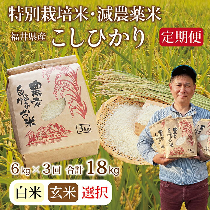 [先行予約][定期便3回]令和6年 新米 福井県産 減農薬米 こしひかり 6kg(玄米・白米選択可)/ 送料無料 福井県 越前市 米 コシヒカリ 減農薬 2024年度産(18209)