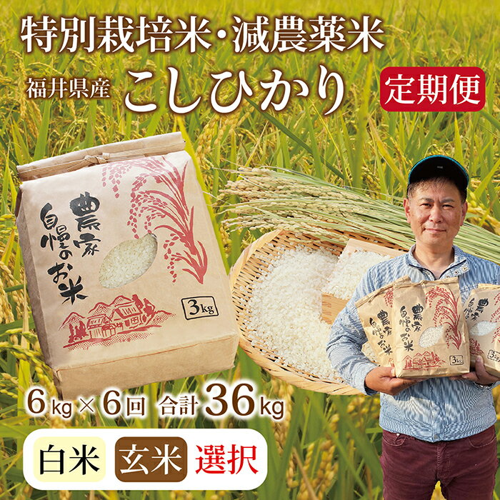 5位! 口コミ数「0件」評価「0」〈先行予約〉【定期便6回】令和6年 新米 福井県産　減農薬米 こしひかり 6kg（玄米・白米選択可）/ 送料無料 福井県 越前市 米 コシヒ･･･ 