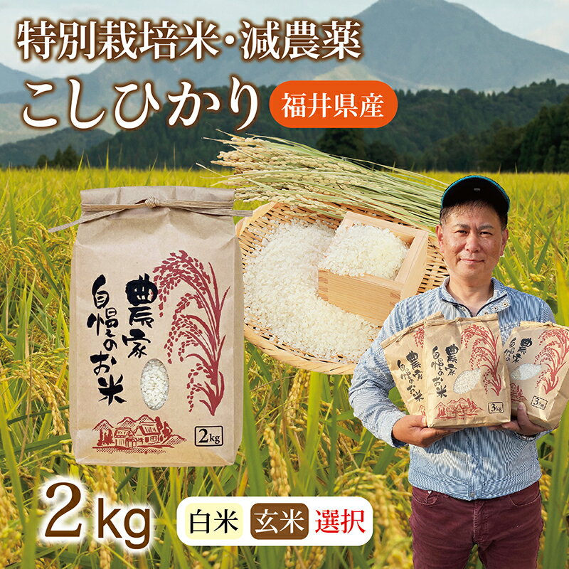 [先行予約]令和6年 新米 福井県産 減農薬米 こしひかり 2kg(玄米・白米選択可)プレゼント・贈答にも最適(のし対応)/ 送料無料 福井県 越前市 米 コシヒカリ 減農薬 2024年度産 人気品種 少量サイズ便利 新米 お歳暮 お年玉 (18209)