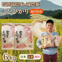 人気ランキング第18位「福井県越前市」口コミ数「1件」評価「5」〈先行予約〉令和6年 新米 福井県産 減農薬米 こしひかり 6kg（玄米・白米選択可）/ 送料無料 福井県 越前市 米 コシヒカリ 減農薬 2024年度産（18209）