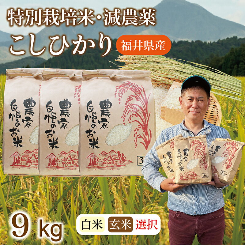 【ふるさと納税】〈先行予約〉令和6年 新米 福井県産 減農薬