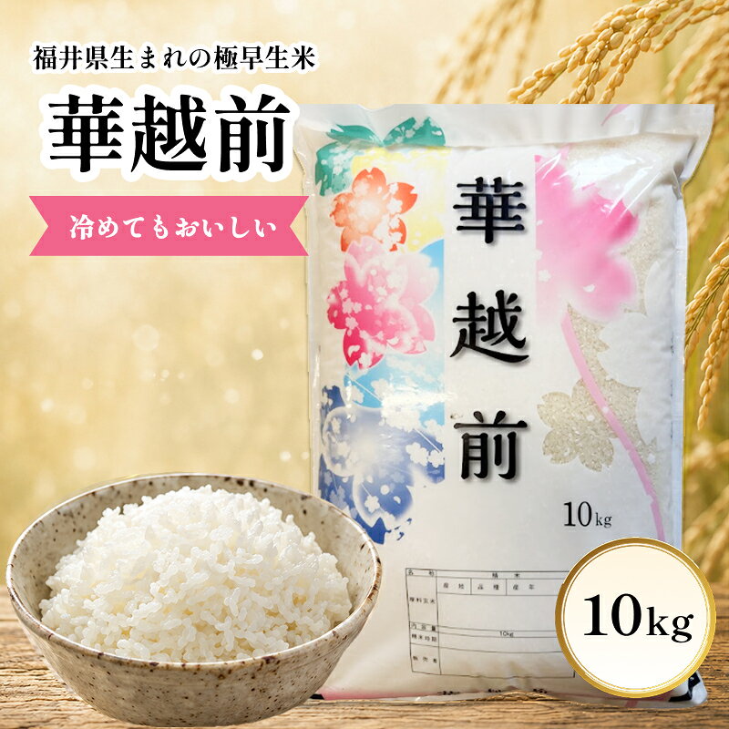 華越前 (ハナエチゼン) 精米 令和8年度産 福井県 越前市産 極早生米 10kg / 送料無料 福井県 越前市 米 2026年度産 新生活(18209)