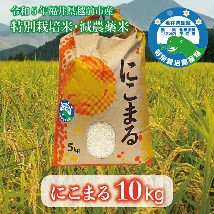 【ふるさと納税】【令和5年度産・新米】福井県越前市産にこまる　福井県特別栽培米 10...