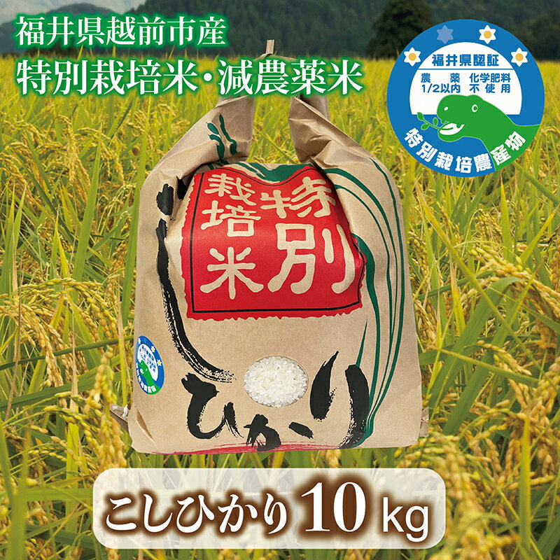 [先行予約]令和6年度産・新米「こしひかり」福井県越前市産福井県特別栽培米 10kg/ 送料無料 福井県 越前市 米 こしひかり 減農薬 2024年度産 新生活(18209)