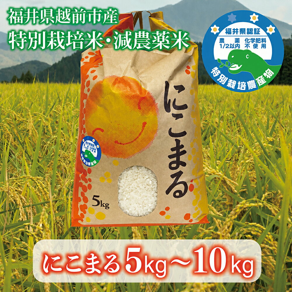 【ふるさと納税】新米「にこまる」5kg 10kg 令和7年度産 福井県越前市産 福井県特別栽培米/ 送料無料 福井県 越前市 米 ニコマル 減農..