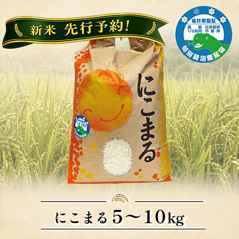 新米先行予約! 「にこまる」5kg 10kg 令和8年度産 令和7年度産 福井県越前市産 福井県特別栽培米/ 送料無料 福井県 越前市 米 ニコマル 減農薬 2026年度産 新生活(18209)