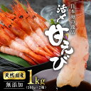 【ふるさと納税】鮮度抜群の大きい甘エビ1kg小分け(総重量1.2kg) 冷凍 ※無添加 天然甘えび 真空パック済 (18209)