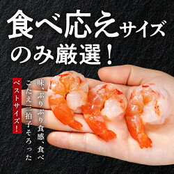 【ふるさと納税】【背ワタ無し】大盛むきえび（高級ブラックタイガー）約1kg※無添加/50〜70尾／エビ 冷凍 越前市 発送時期が選べる（18209） 画像1