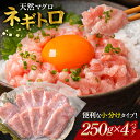 【ふるさと納税】ふわとろネギトロ粗挽き+ネギトロ専用の特選醤油(ミニ)5本セット付き【天然マグロ使用】約1キロ/ 送料無料 福井県越前市 ねぎとろ まぐろたたき...