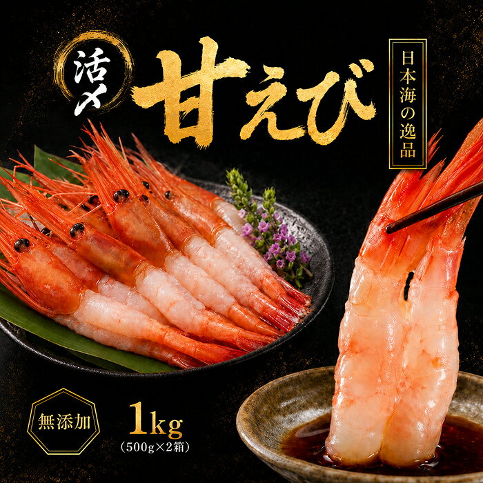 樂天商城 - 【ふるさと納税】　鮮度抜群の大きい甘エビ1kg小分け（総重量1.2kg） 冷凍 ※無添加 天然甘えび 真空パック済 (18209)