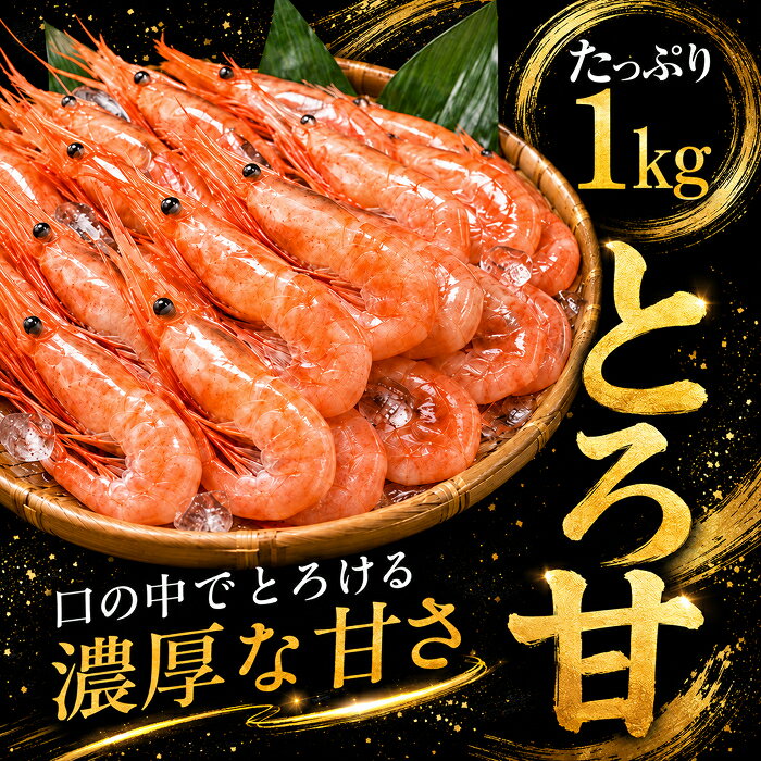 【ふるさと納税】　鮮度抜群の大きい甘エビ1kg小分け（総重量1.2kg） 冷凍 ※無添加 天然甘えび 真空パック済 (18209) f182095-echizen-10000776 福井県越前市 サンプル画像2