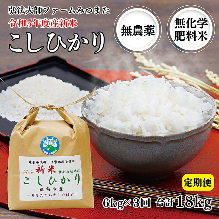 【ふるさと納税】【定期便3回】令和5年度産新米 こしひかり 6kg 無農薬 無化学肥...