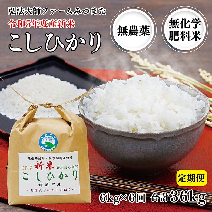 【ふるさと納税】【定期便6回】令和5年度産新米 こしひかり 6kg 無農薬 無化学肥...