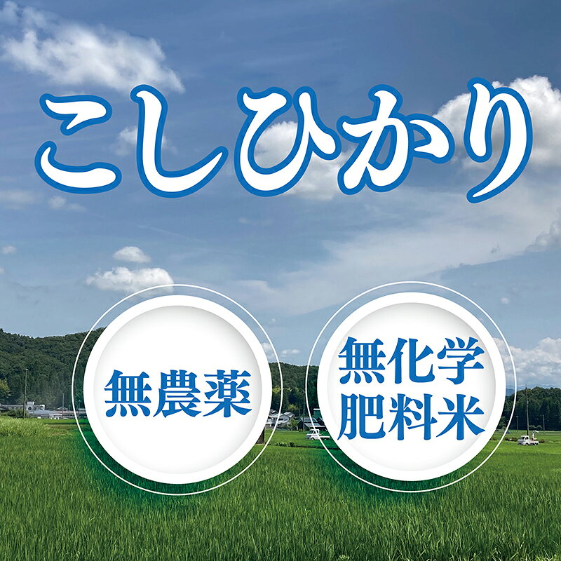 【ふるさと納税】新米予約開始！ 令和8年度産 味くらべ3種セット／こしひかり ・ あきさかり ・ にこまる 合計3kg 無農薬 省農薬 減農薬 無化学肥料 ／ 送料無料 福井県越前市 コシヒカリ 令和8年度産 2026年産 米 (18209) f182095-echizen-10000796 福井県越前市 サンプル画像3