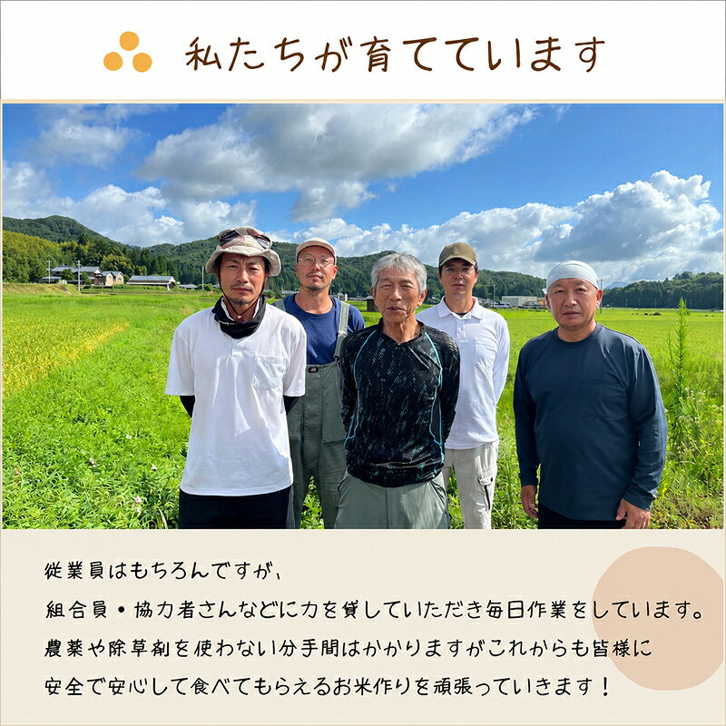 【ふるさと納税】令和8年度産 有機JAS（ 無農薬・無化学肥料）こしひかり 2kg〜10kg 定期便 3回〜12回 無農薬 無化学肥料／こうのとり米 送料無料 福井県越前市 有機JAS コシヒカリ 令和7年度産 2026年産 2025年産 米 2kg 3kg 5kg 6kg 10kg (18209) f182095-echizen-10000996 福井県越前市 サンプル画像3
