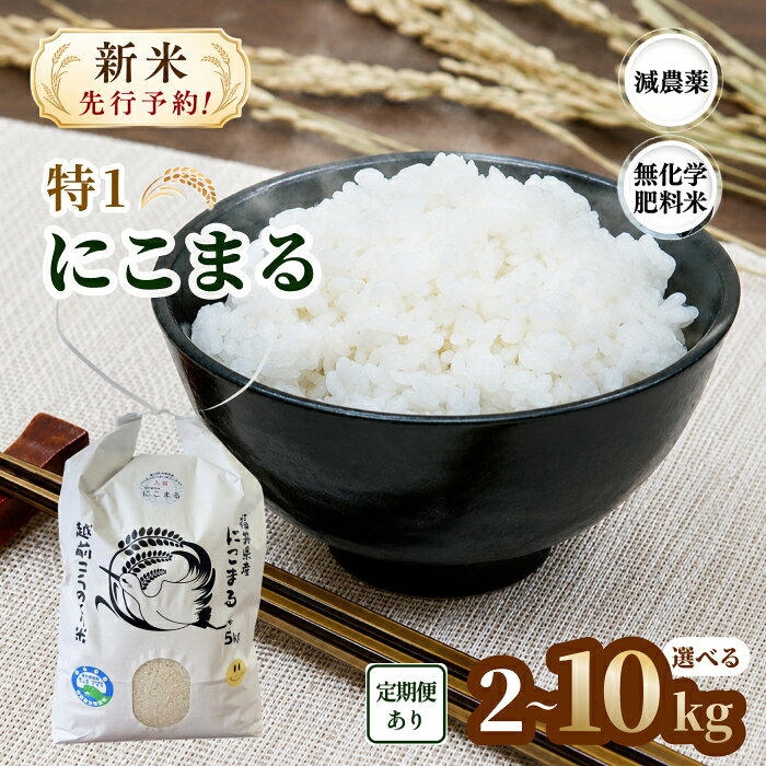 令和8年度産 新米「 特1 」 にこまる 2kg〜10kg 【定期便あり】 3回 ~ 12回 減農薬 無化学肥料／送料無料 福井県越前市 特別栽培米 ニコマル 令和8年度産 2026年産 米 (18209)