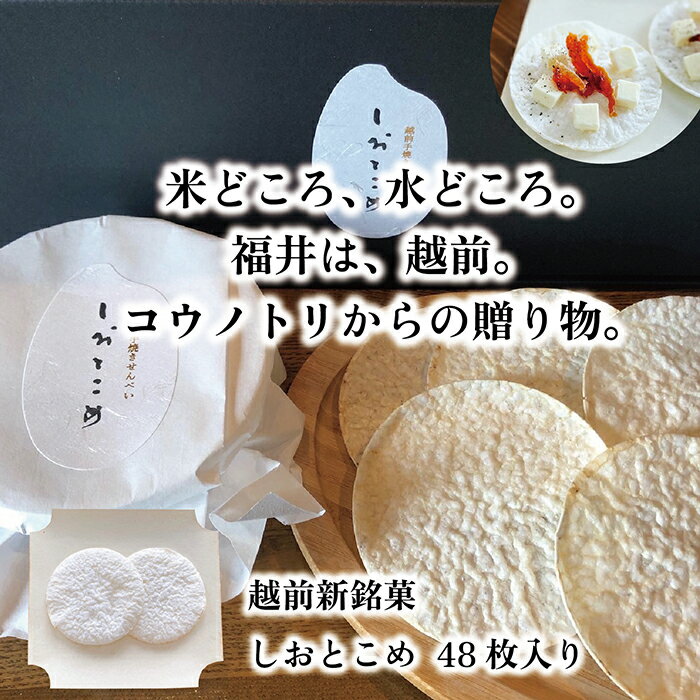 【ふるさと納税】越前新銘菓 しおとこめ　48枚入り　/ 送料無料 福井 越前市 こしひかり コシヒカリ お菓子 米菓 薄味 子供用 お土産 贈り物(18209)