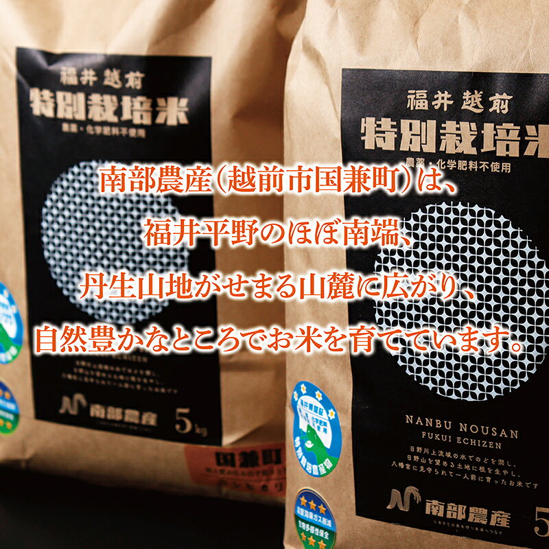＼R8年度販売／新米先行予約開始【ふるさと納税】 令和8年度 特別栽培米コシヒカリ / 5kg 10kg 送料無料 福井県 越前市 米 コシヒカリ 農薬不使用 (18209) f182095-echizen-10000919 福井県越前市 サンプル画像2