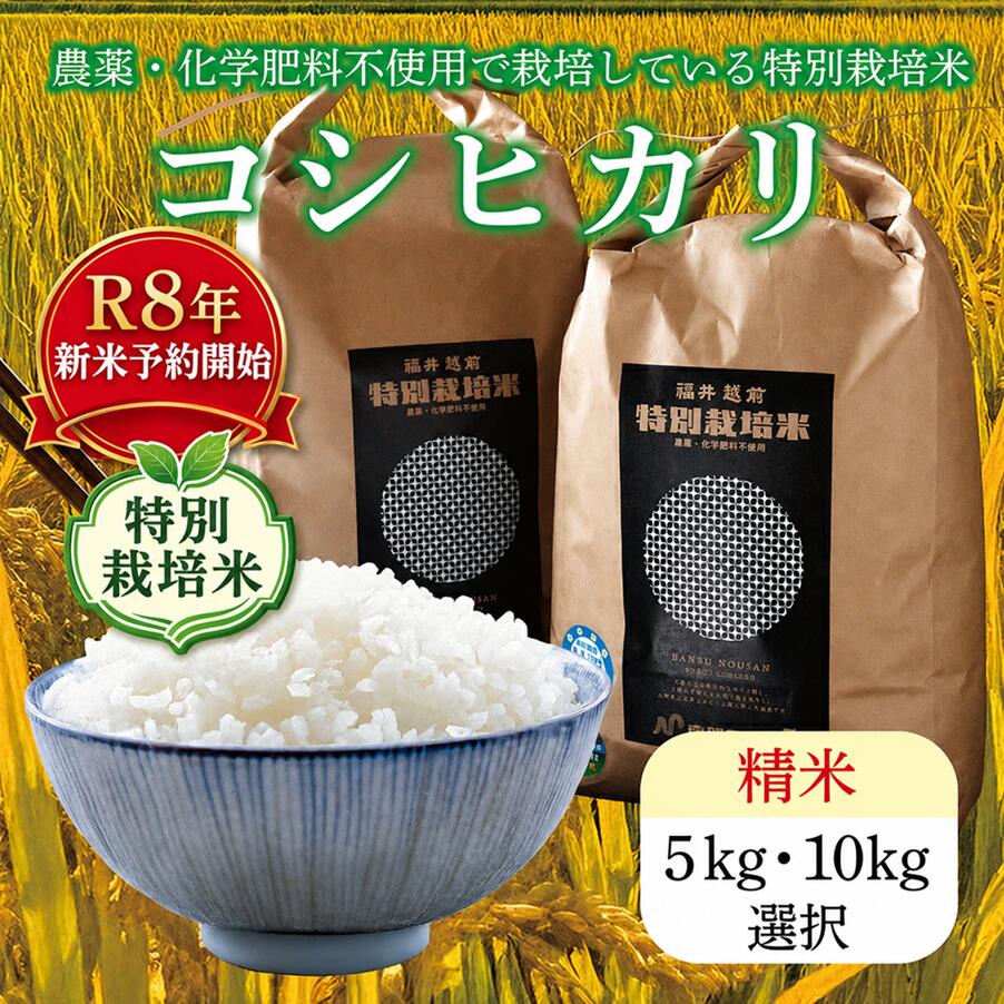 ＼R7年度売り切り価格/新米先行予約開始令和7年度 令和8年度 特別栽培米コシヒカリ / 5kg 10kg 送料無料 福井県 越前市 米 コシヒカリ 農薬不使用 (18209)