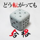 【ふるさと納税】石工手仕上げの笏谷石の合格(5か9)サイコロ / 送料無料 受験 入試 採用試験 資格試験 受験生 応援 合格 合格祈願 パワーストーン 福井 ...