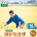 【ふるさと納税】【令和3年産】さんさん池見二代目が笑顔で育てた 福井県産 コシヒカリ お試し用 5kg [A-0210]