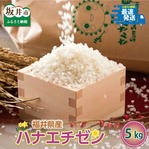 【ふるさと納税】【数量限定】【令和5年産】福井県産 ハナエチゼン 5kg / 10kg 【選べる内容量・精米方法】 〜坂井市三国町産・こだわりの精米対応〜