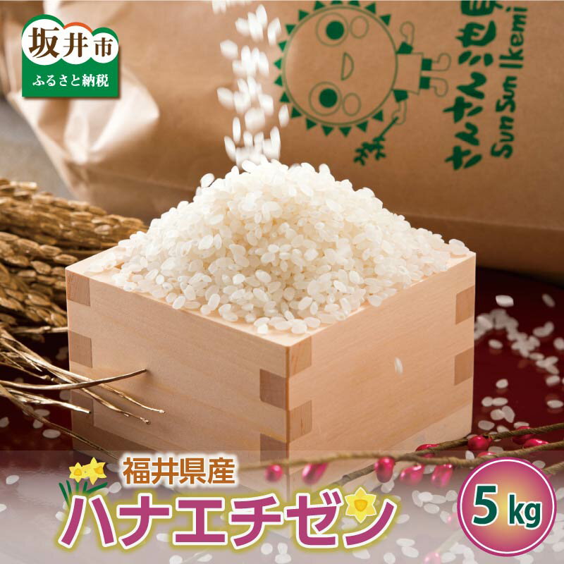 37位! 口コミ数「49件」評価「4.8」【先行予約】【令和6年産・新米】福井県産 ハナエチゼン 5kg / 10kg 【選べる内容量・精米方法】【2024年8月下旬以降順次発送予定･･･ 