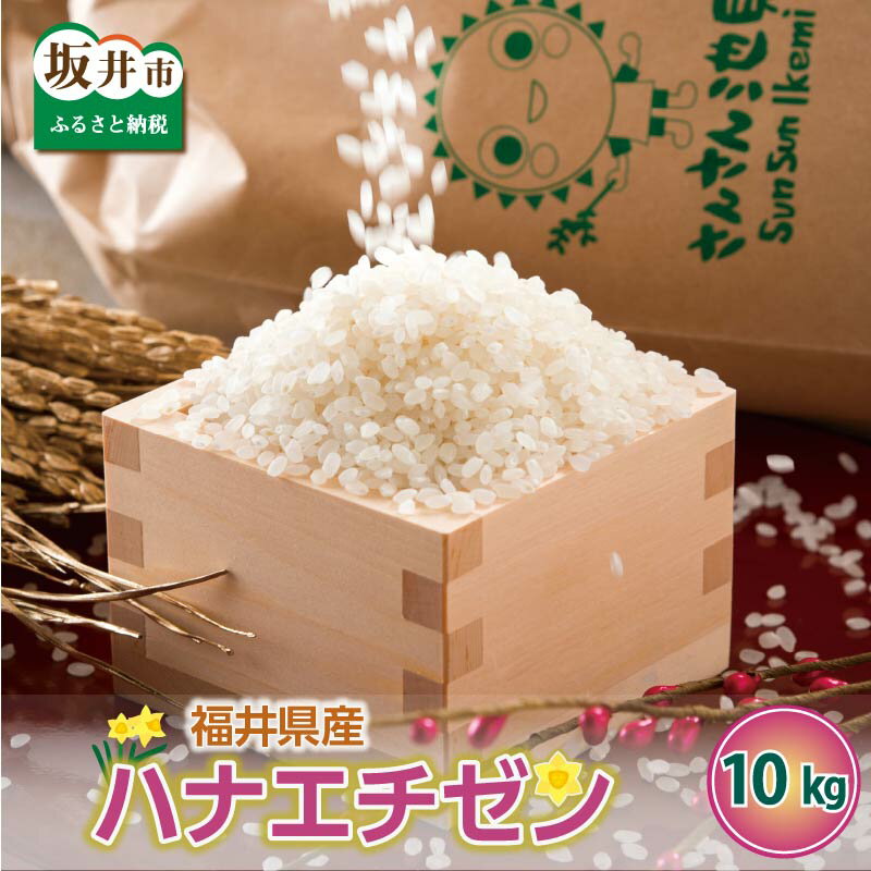 【ふるさと納税】【先行予約】【令和6年産・新米】さんさん池見二代目の 福井県産 ハナエチゼン 10kg 【2024年8月下旬以降順次発送予定】