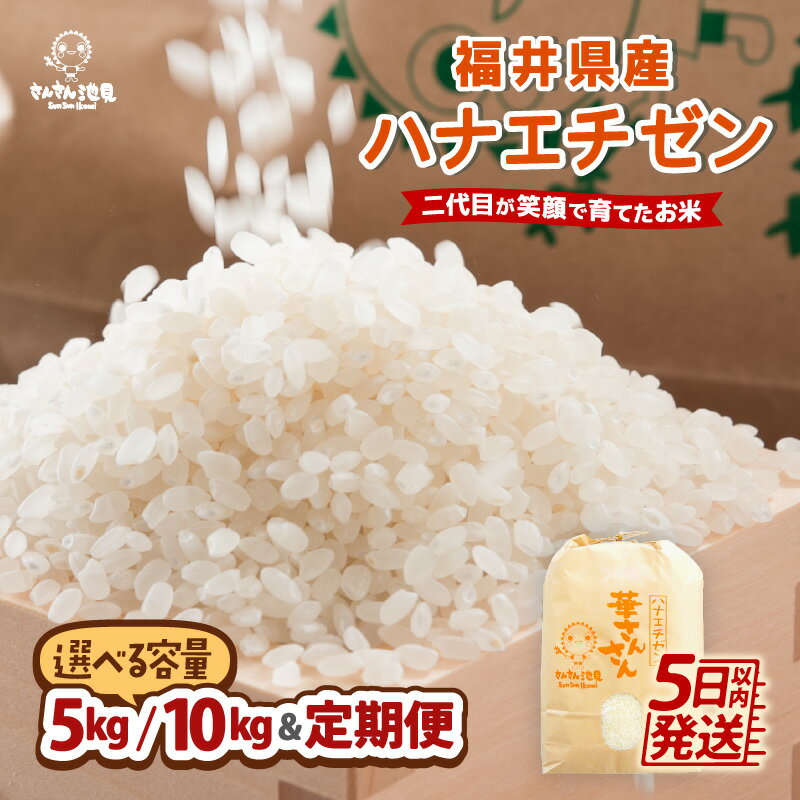 【ふるさと納税】【令和7年産・新