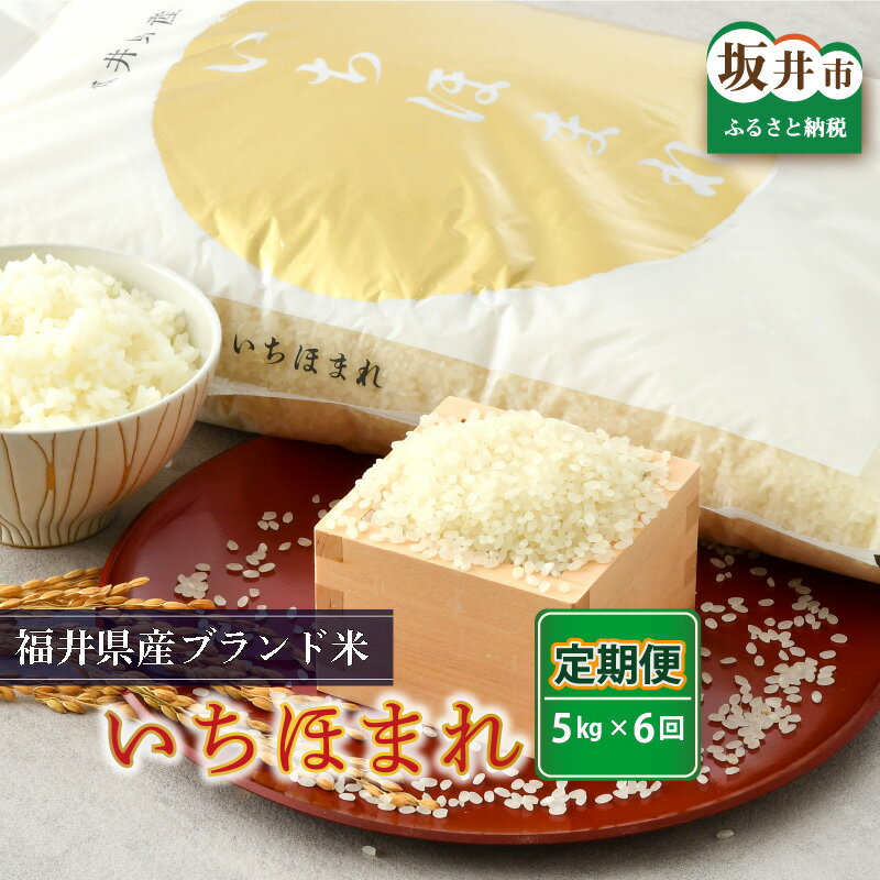 22位! 口コミ数「0件」評価「0」【令和5年産】定期便 米 5kg × 6回 計30kg 福井県産 いちほまれ さんさん池見二代目がお届けする 美味しい お米！ 精米対応【6･･･ 