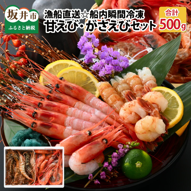 【ふるさと納税】漁船直送☆船内瞬間冷凍 共栄丸の甘えび・がさえび食べ比べセット【海老 えび エビ がすえび ガスエビ アマエビ あまえび 甘海老 殻付き 有頭 生食 刺身 魚介類 魚貝類 産地直送 坂井市産 福井県産 国産 三国 人気】のサムネイル