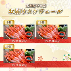 【ふるさと納税】【3ヶ月連続お届け】 坂井市産 福井県産 漁船直送！船内瞬間冷凍 甘えび 約550g × 3回 計1.65kg(国産) 定期便 画像2