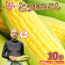【ふるさと納税】もろこしやの朝取れ とうもろこし 10本 (1本:2Lサイズ以上 370g~450g) 『メロンより甘い』 ~驚きの糖度18度以上!~ (わくわくコーン) 【トウモロコシ イエローコーン スイートコーン 朝採れ 新鮮 野菜 バーベキュー キャンプ BBQ 産地直送】