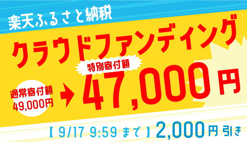 【ふるさと納税】キャンプ アウトドア 椅子 木 おしゃれ DVERG ドベルグ フォールディングバタフライチェア 1脚 (クラウドファンディング対象)通販格安セール情報 楽天 通販