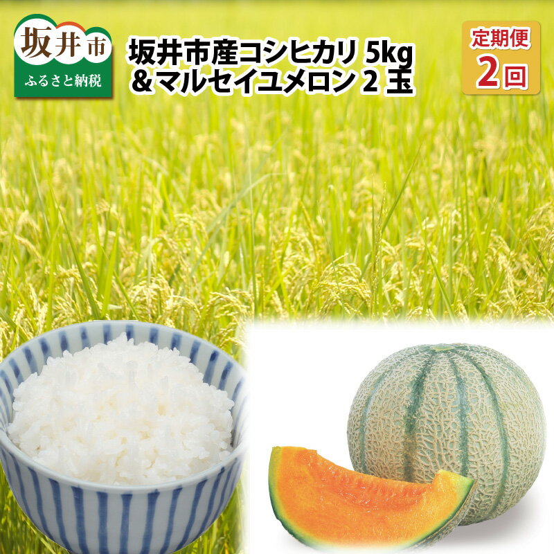 [先行予約][定期便 2回コース] マルセイユメロン 2玉 + 福井県 坂井市産新米コシヒカリ 5kg [50セット限定][2024年6月上旬より順次発送予定]